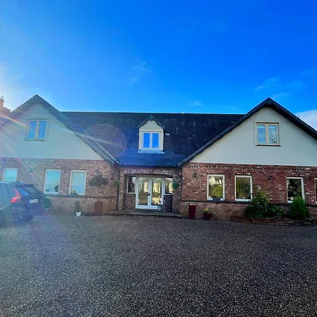 The Starlings ويكسفورد