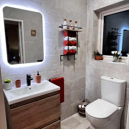 The Starlings * 韦克斯福德