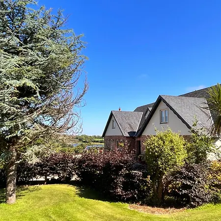 The Starlings ويكسفورد