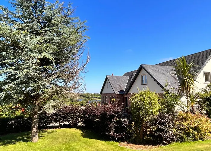 The Starlings Wexford